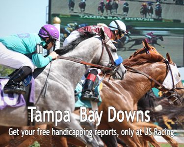 Tampa Bay Downs Horse Betting