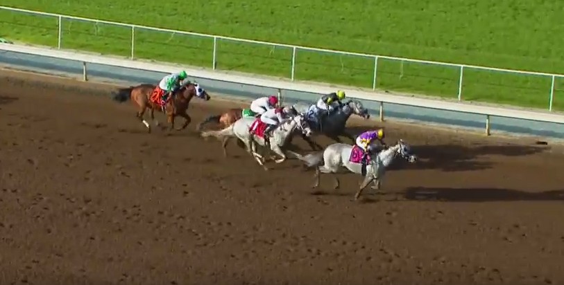 Kobe's Back made a first-to-last charge to lead a brigade of gray in the San Carlos at Santa Anita Park on Saturday.