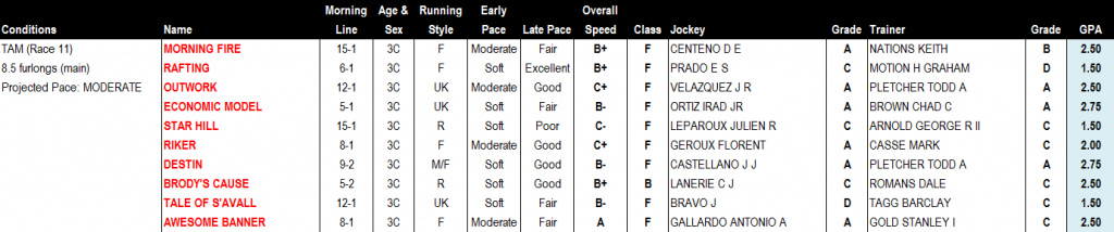 Tampa Bay Derby Report Card