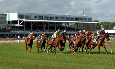 Horses round the clubhouse turn at Tampa Bay Downs (photo via www.tampabay.com)