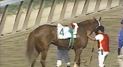 Charismatic following the running of the 1999 Belmont Stakes. Charismatic captured the Lexington Stakes on his way to winning the first two legs of the Triple Crown. He was upset by 29-1 Lemon Drop Kid in the Belmont.