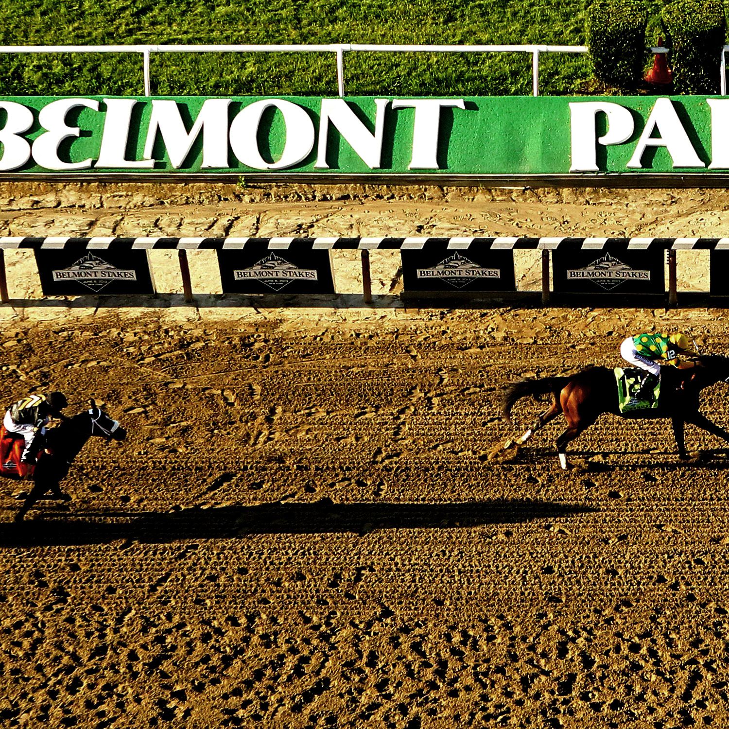 Belmont Park 2021 Spring Meet Handicapping Preview Daily Racing News