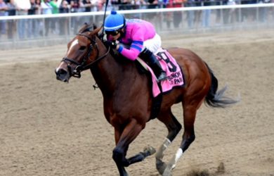La Verdad will attempt to beat the boys in the Fall Highweight Handicap at Aqueduct on Thanksgiving Day (photo via Linda Rice Racing).