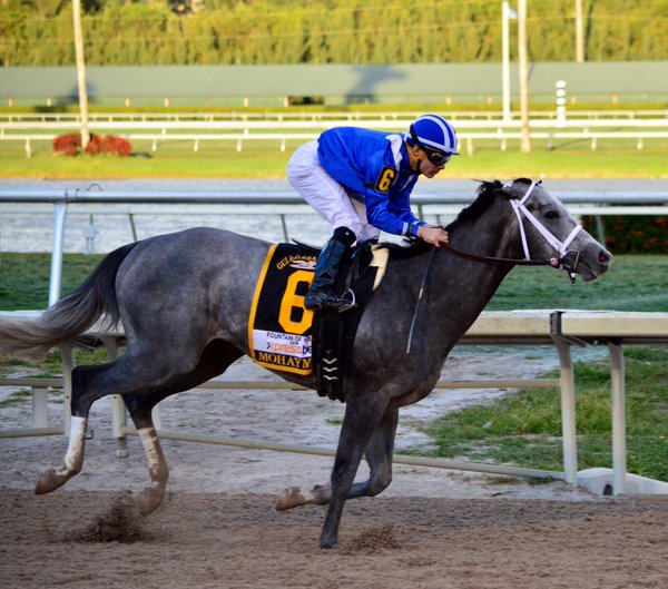 Mohaymen winning the Fountain of Youth Stakes (photo via Twitter @GulfstreamPark)