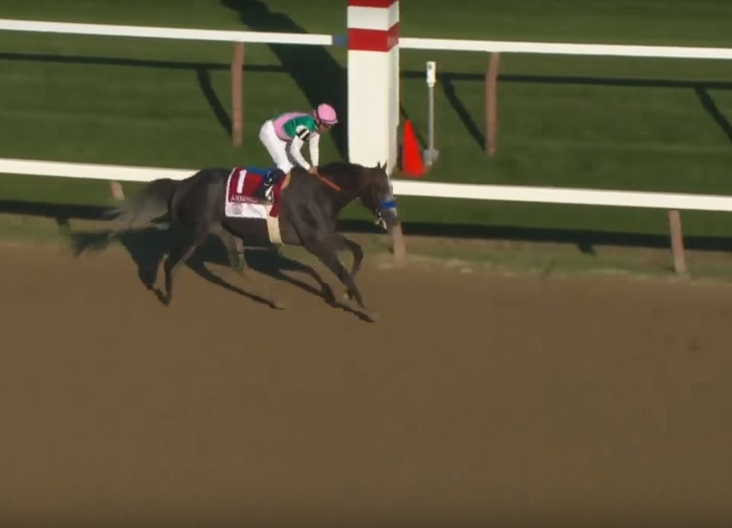 The "other Baffert," Arrogate wins the 2016 Travers Stakes in convincing fashion.