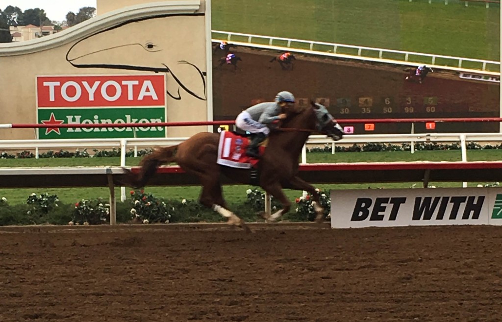 California Chrome storms home in the Pacific Classic, remaining undefeated in 2016.