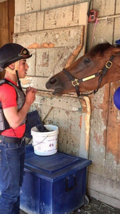 Jock Irad Ortiz Jr. and Lady Eli are scheduled to reunite on the racetrack on Aug. 27.