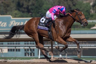 Champagne Room winning the Breeders' Cup Juvenile Fillies (photo by Jim Safford).