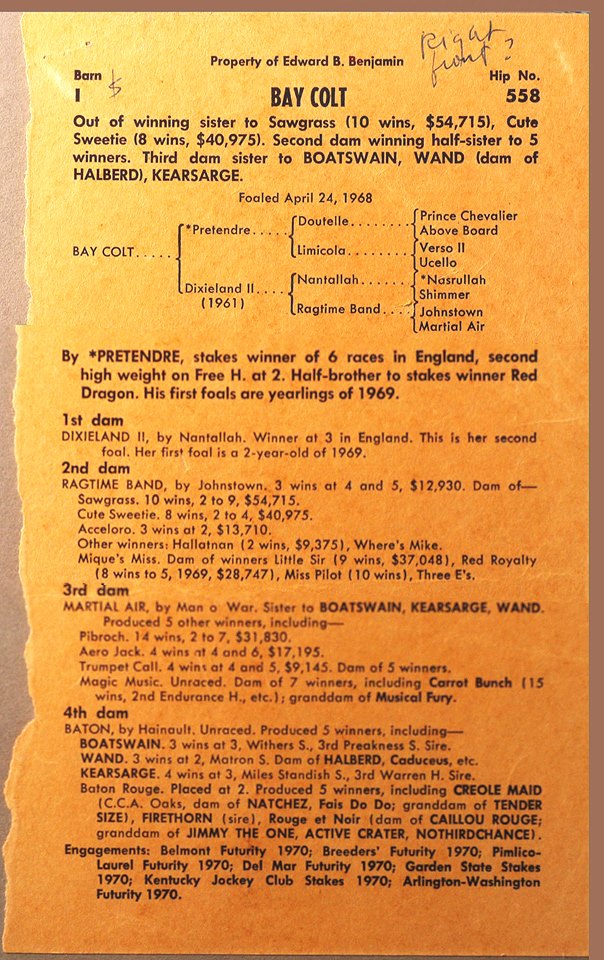 Cot Campbell' notes on Hip #558 at the 1969 Keeneland Sales.