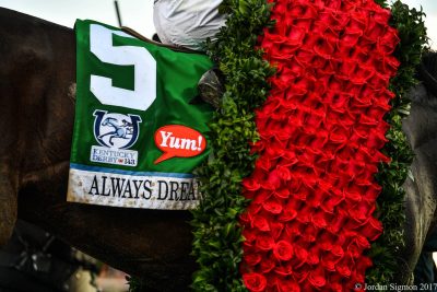Always Dreaming draped in roses following the running of the 143rd Kentucky Derby (photo by Jordan Sigmon).