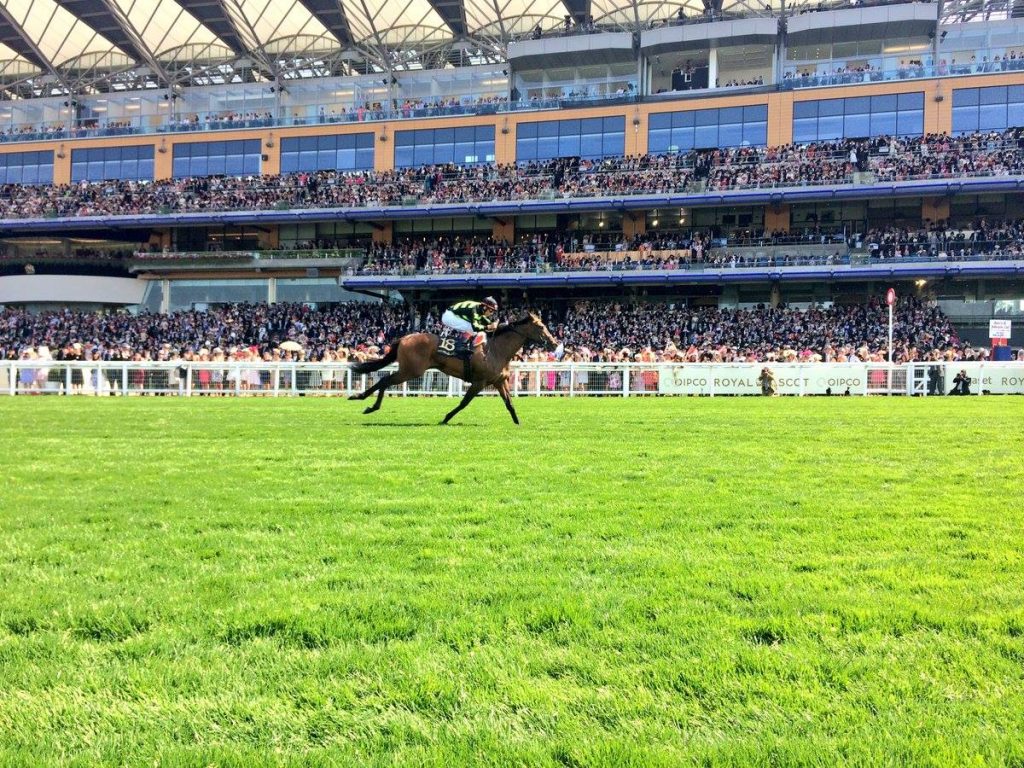 Lady Aurelia put in a dominant performance on the first day of the Royal Ascot Festival (photo via Ascot Racecourse).