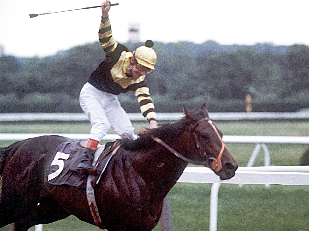 Jean Cruget celebrates after winning the Triple Crown aboard Seattle Slew (photo via CBS News).