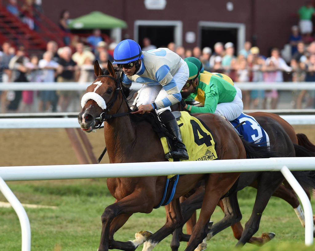 Coasted (photo by Chelsea Durand/NYRA).