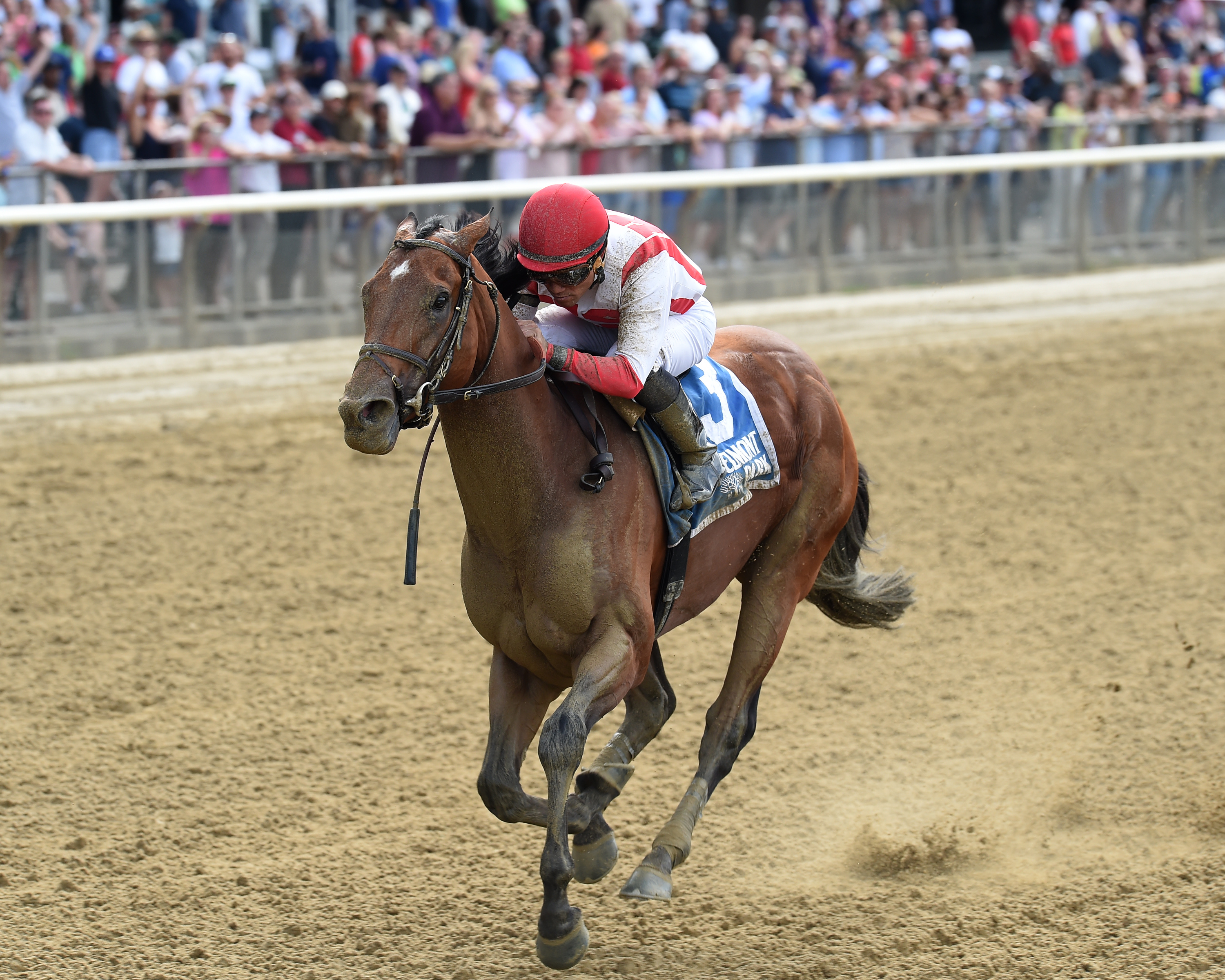After a failed Kentucky Derby bid, Practical Joke proved he's no joke at shorter distances by winning the Grade III Dwyer in impressive fashion (photo via Chelsea Durand/NYRA).