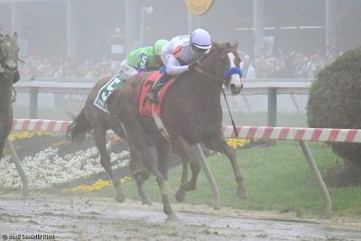 Justify held on to win the Preakness Stakes and will now seek to become the first undefeated Triple Crown winner since Seattle Slew in 1977 (photo by Danielle Ricci).