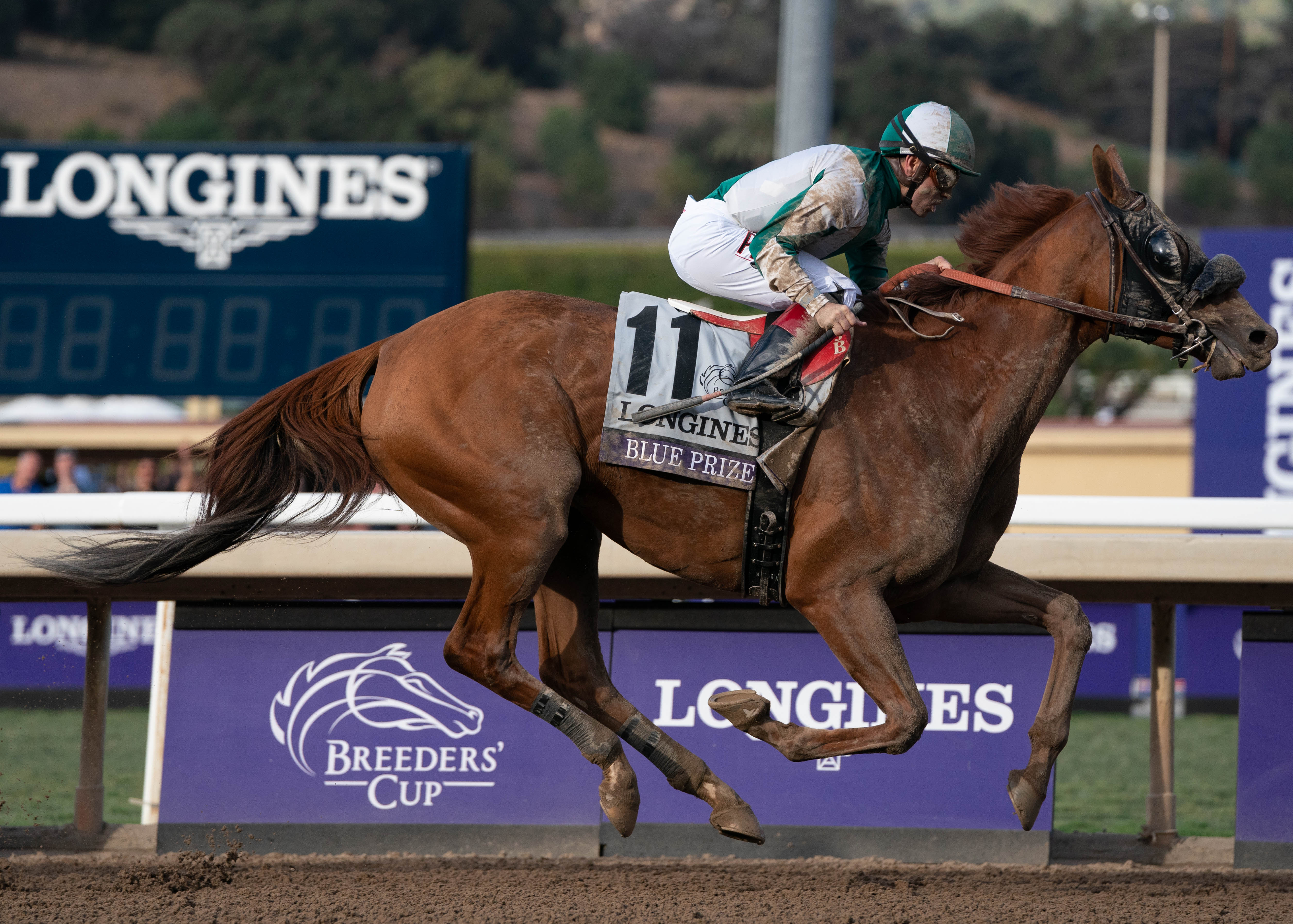 Breeders cup mile betting odds argentina-brazil betting expert boxing