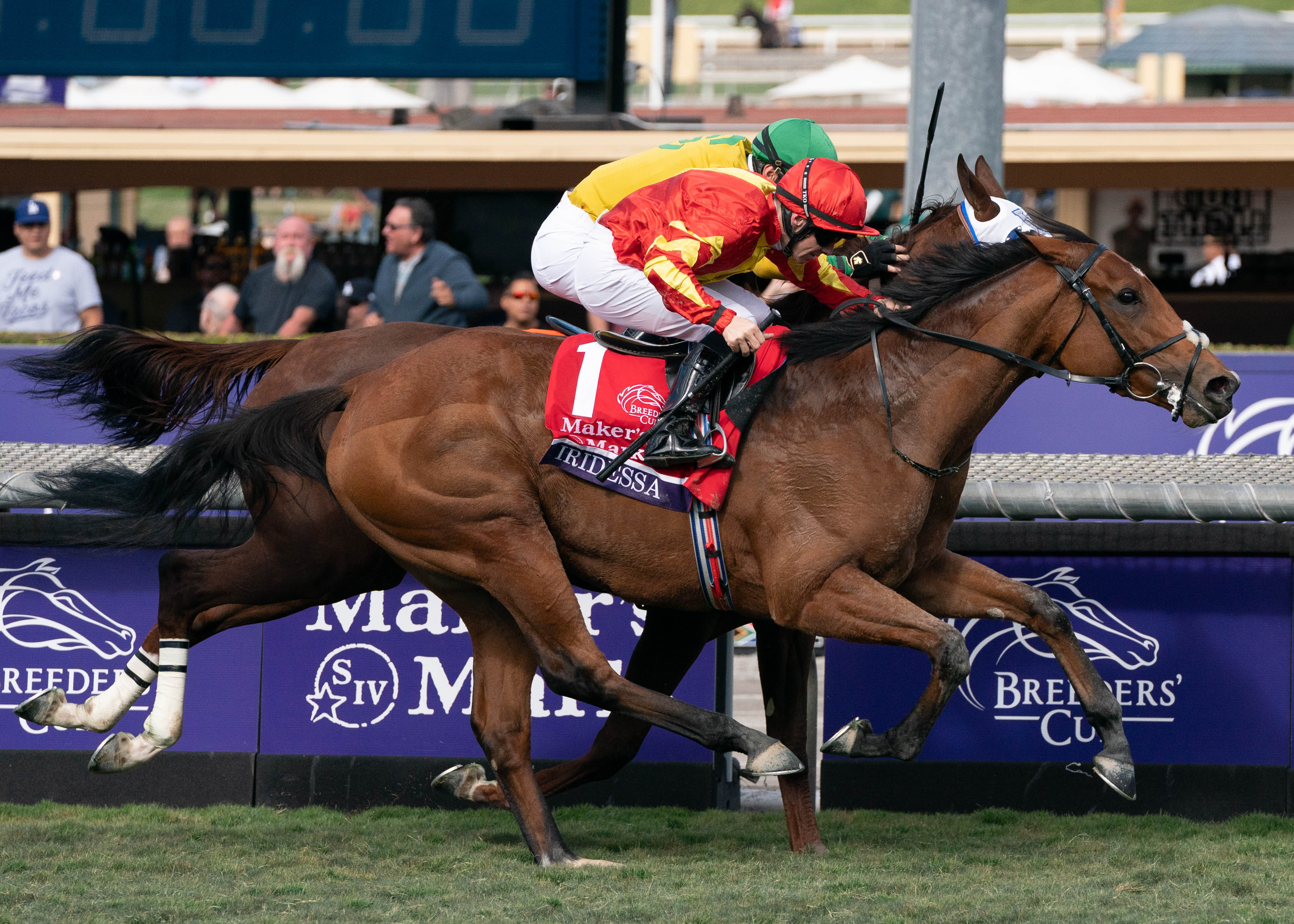 Breeders' Cup Classic Odds, Track Conditions and History Daily Racing