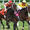Horse Racing Handicapping: Tips You Need To Know
