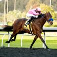 Kentucky Derby Horses: 347 Nominated to Triple Crown Races