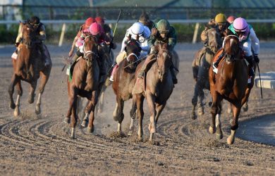 Kentucky Derby Qualifiers: Fountain of Youth Favorites