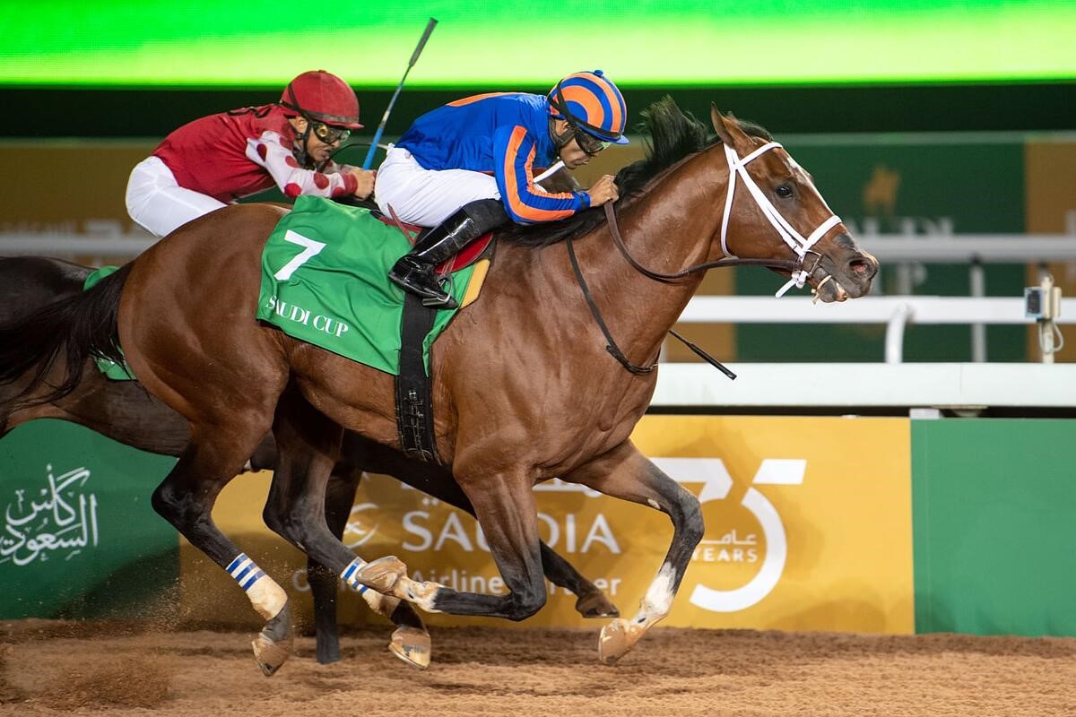 Maximum Security Best Horse: Wins Inaugural Saudi Cup | Daily Racing ...