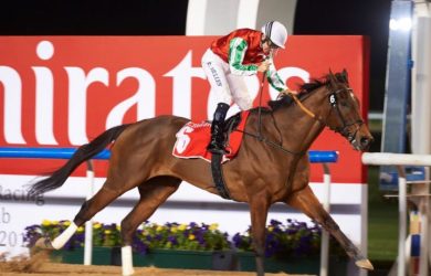 Saudi Cup Betting Odds North America: Horse Racing Profile