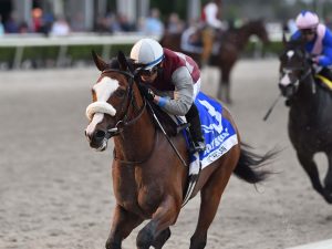 Florida Derby Betting Odds: Preview and Field of 12