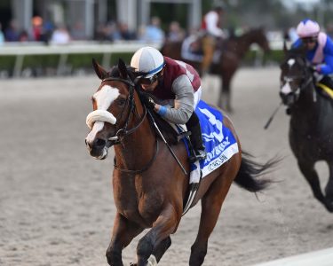 Florida Derby Betting Odds: Preview and Field of 12