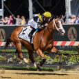 Gulfstream Betting Trends: 5 Track Tips to Help You Win!