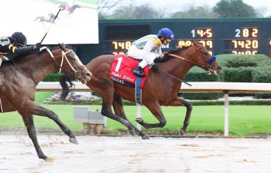 Arkansas Derby History: A Look Into This Split Race