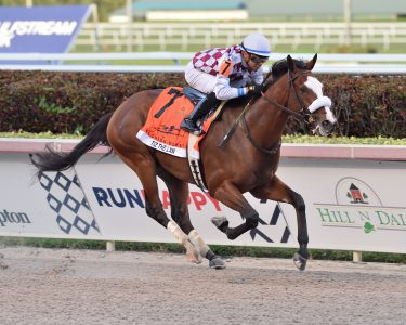 Tiz the Law wins the Grade 1 Florida Derby on 3/28/20 at Gulfstream Park. Manuel Franco up.