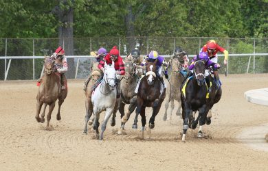 Silver State - Photo Courtesy of Oaklawn Park